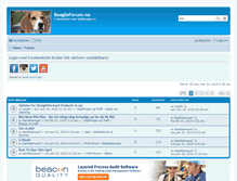 Tablet Screenshot of beagleforum.no